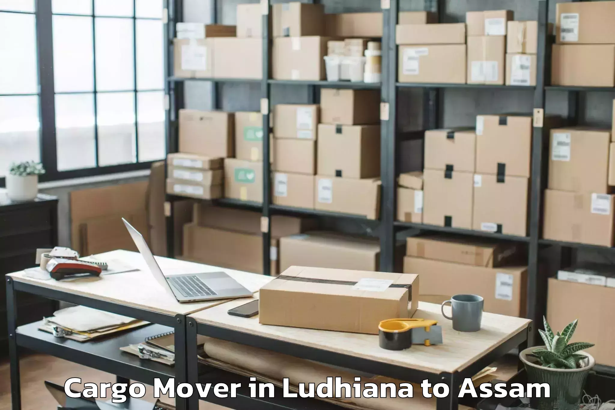 Easy Ludhiana to Kharupetia Cargo Mover Booking